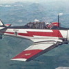 Flávio T-6-Tiger 26