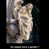 Angels.gender