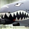 800px-A10Shark