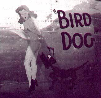 Bird_Dog_B24