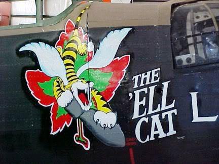 The_ell_cat_Lancaster