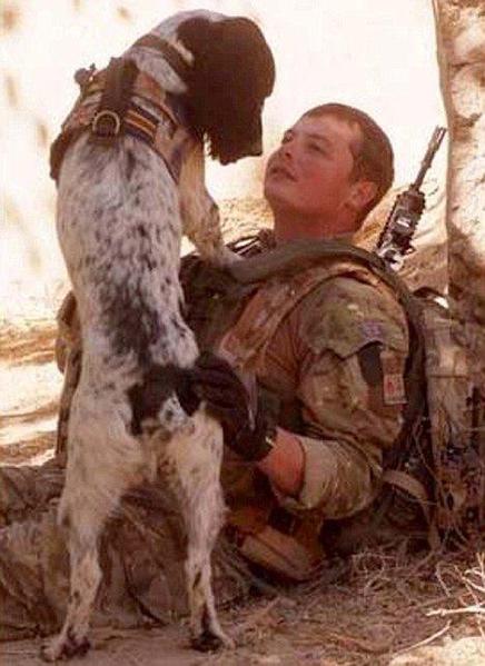 Lance Cpl Liam Tasker was killed in Afghanistan March 1, 2011. His devoted bomb-sniffing dog Theo, witnessed his master’s death, then shortly after suffered a seizure and also passed away