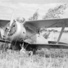 Polikarpov I-153 SA Capturado pela Finlândia