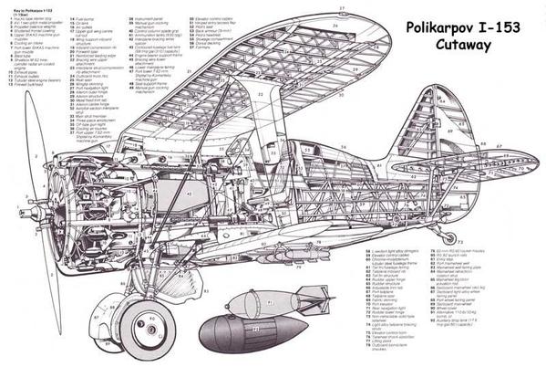 Polikarpov-I-153-Cutaway