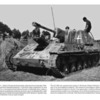 Peko Publishing SU-76 on the battlefield (7)