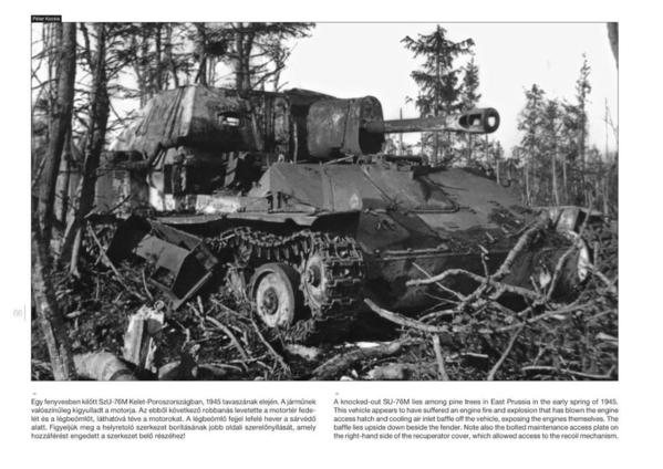 Peko Publishing SU-76 on the battlefield [3)