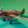 P-40E_1.72_FAB_01