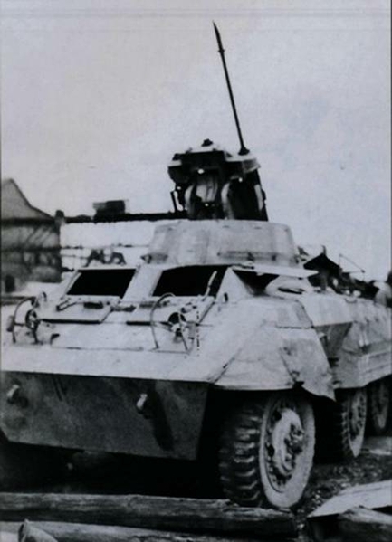 beautepanzer greyhound